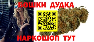 гашик Гатчина