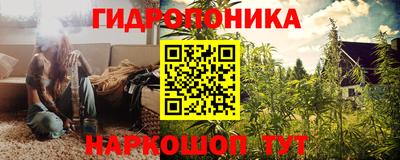 гидра Шахты