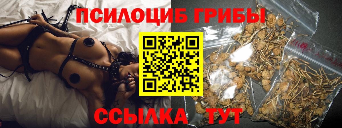 Барнаул  Галлюциногенные грибы Cubensis  где купить наркоту  Вход с VPN 